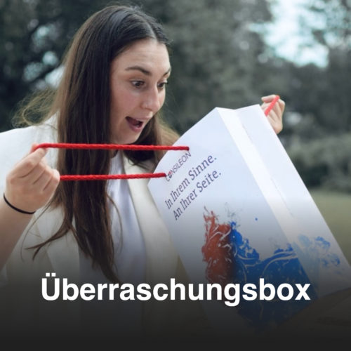 Nora entdeckt die Überraschungsbox